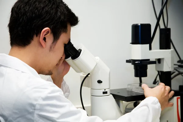 Een Wetenschapper Het Lab Zoek Naar Een Microscoop Werkt — Stockfoto