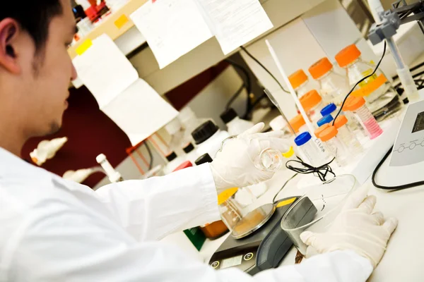 Scientist Doing Research Laboratory — Stock Photo, Image