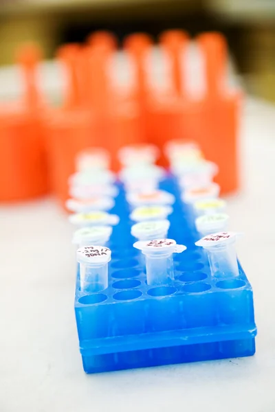 Próbek laboratoryjnych — Zdjęcie stockowe