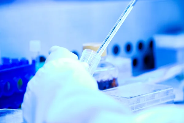 一位科学家在实验室 拍于蓝色基调的 Dna 样品测试工作 — 图库照片
