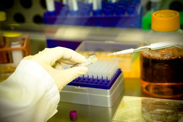 Ein Wissenschaftler Der Einem Sterilen Umfeld Forscht Und Labor Arbeitet — Stockfoto