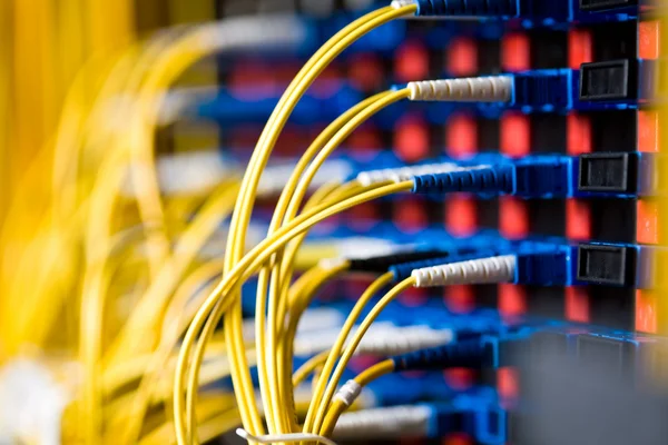 Shot Network Cables Connected Switch — Stock Photo, Image