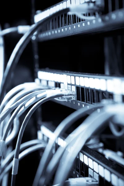 青色のトーンでデータ センター内のスイッチに接続されているネットワーク ケーブルのショット — ストック写真