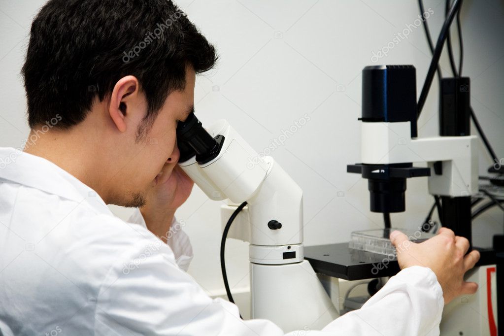 A scientist working at the lab looking into a microscope