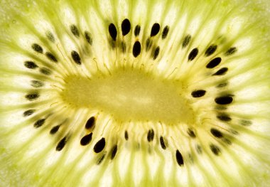 Kiwi fruit clipart