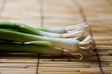 Scallions clipart