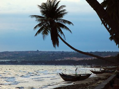 Tropical beach with palm trees and boats clipart