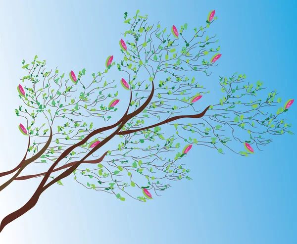 Magnolia arbre fond — Image vectorielle