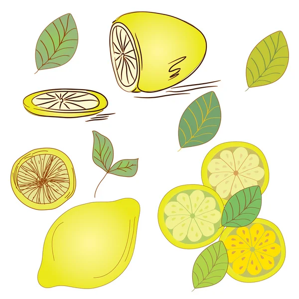 Citron uppsättning med blad — Stock vektor