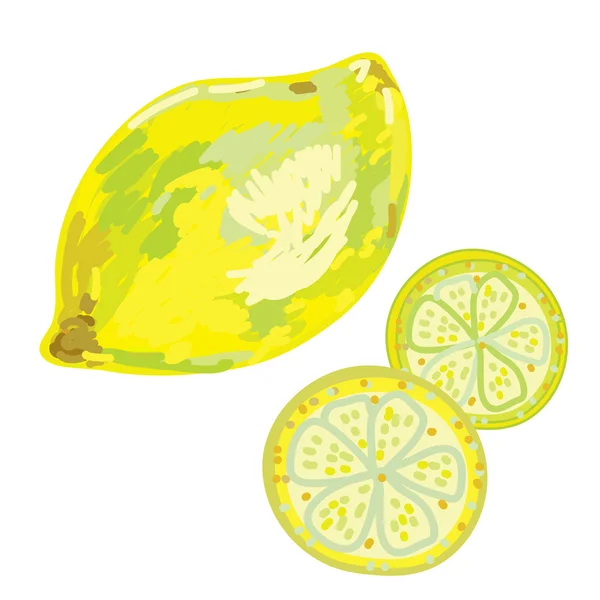レモンの芸術的なスケッチ — Stockový vektor