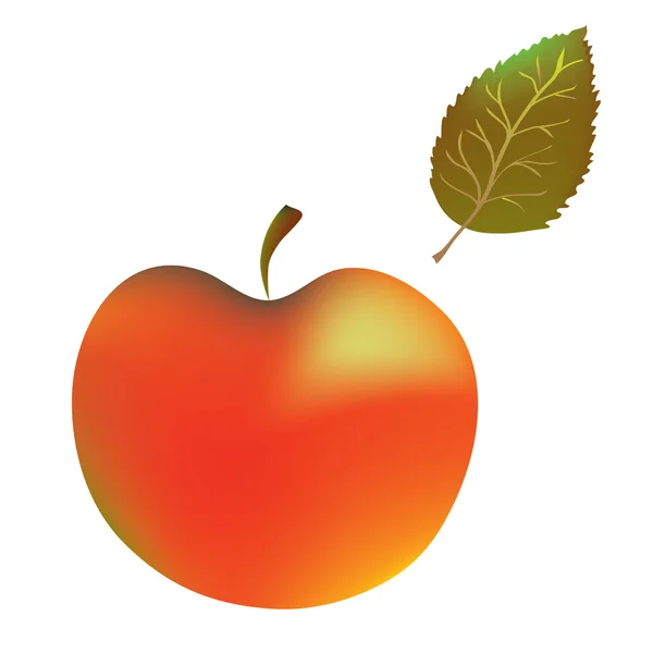 Roter und orangefarbener Apfel auf weiß — Stockvektor