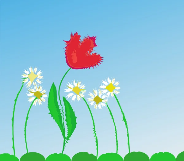 Frühlingskarte mit Tulpe und Kamille — Stockvektor