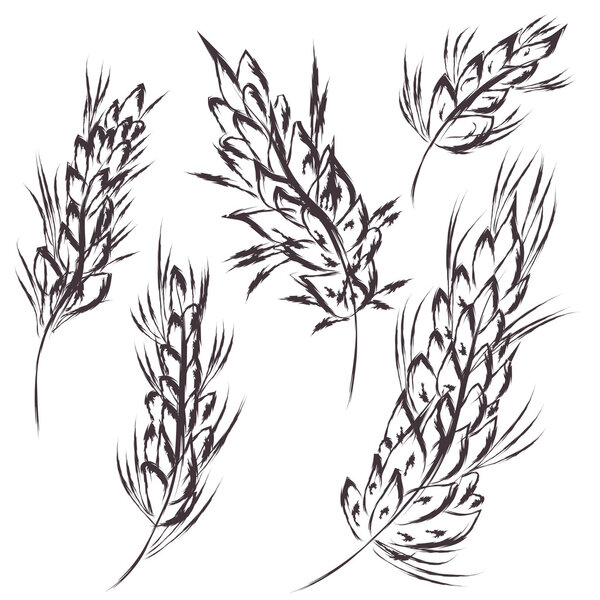 Wheat symbol sketch