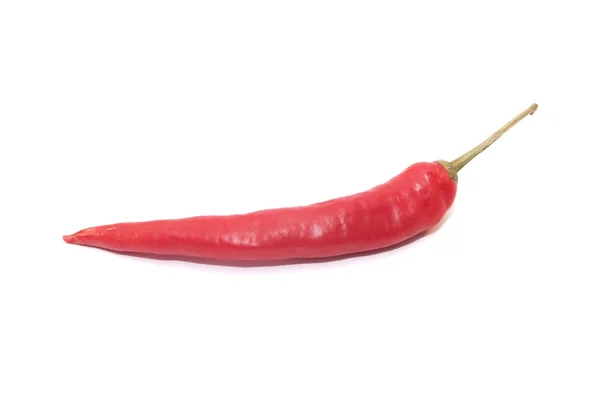 Papryka chili — Zdjęcie stockowe