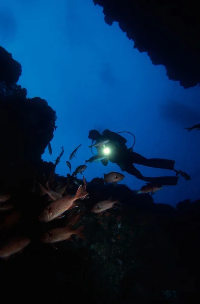 Mergulho sob a água — Fotografia de Stock