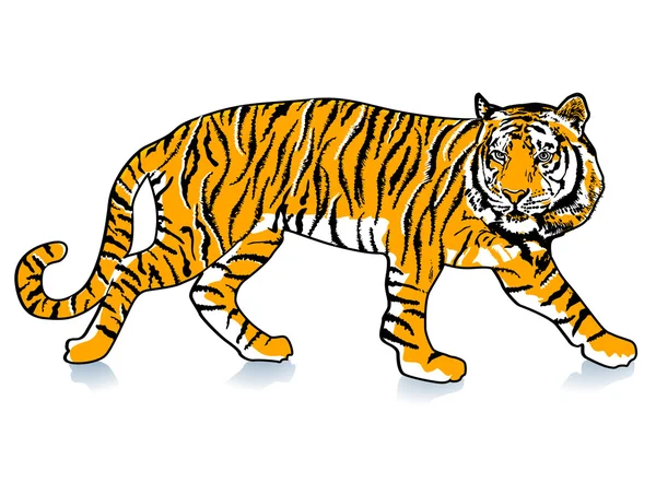 Sneak Tiger — Stock Vector