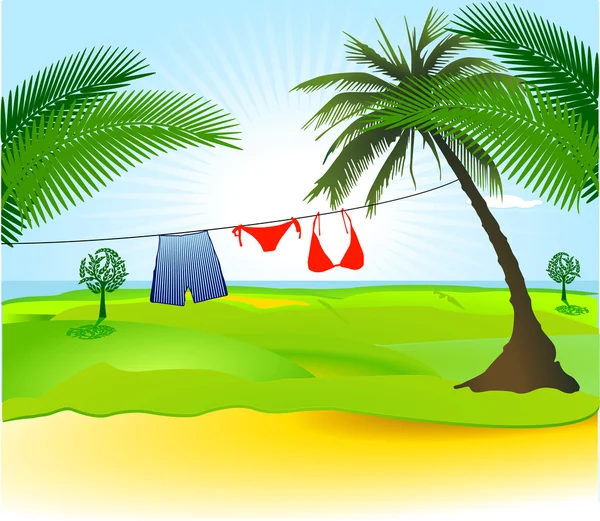 Bikini, mayo ve palmiye ağacı — Stok Vektör