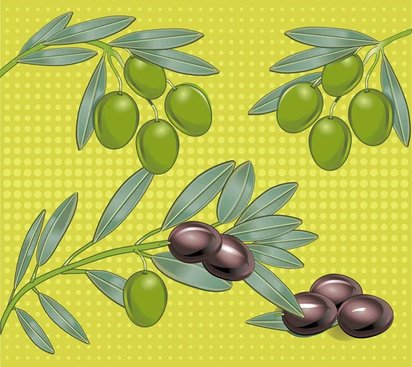 Olive — Vettoriale Stock