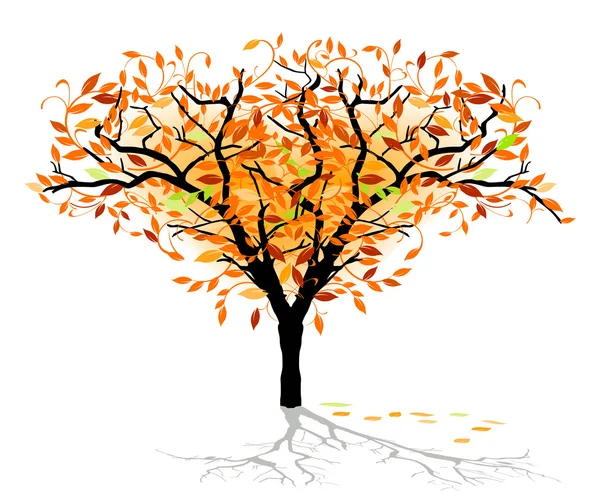 Autumnal deciduous tree — Stock Vector