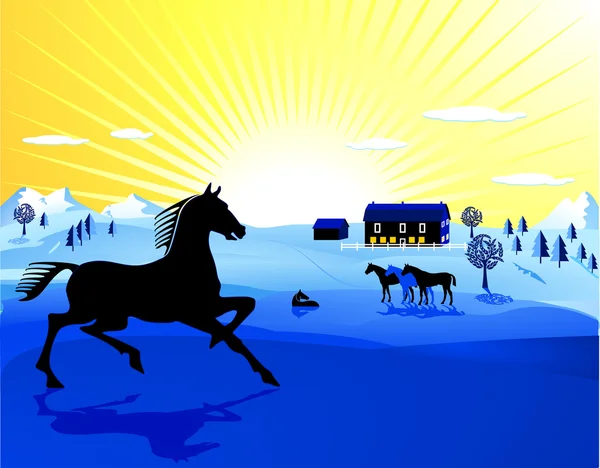 Paarden in de zonsondergang — Stockvector