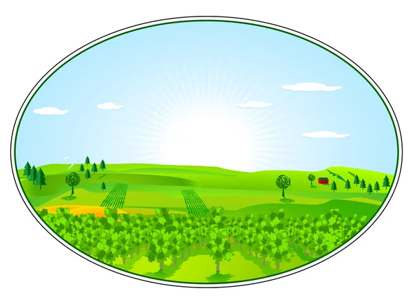 Area for agricultural — Stock Vector