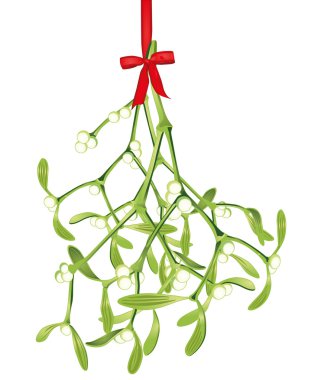 Hanging mistletoe clipart