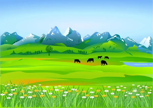 Prairies alpines — Image vectorielle