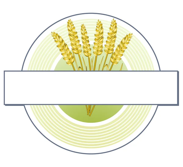 Signet de grain — Image vectorielle