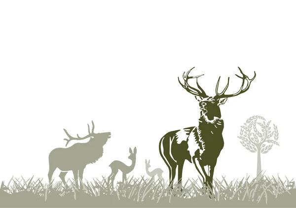 Wild Animal Deers — Stock Vector