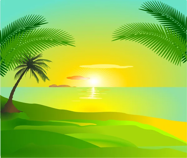 Tropikalny Zachód Słońca — Wektor stockowy