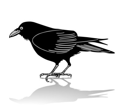 Raven clipart