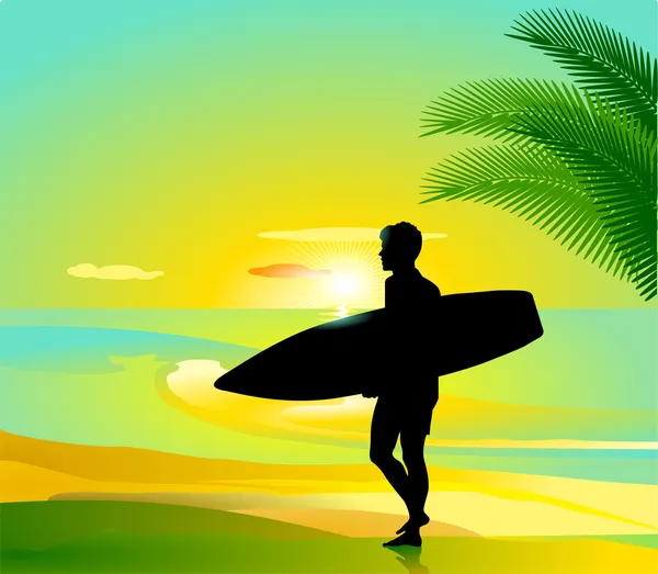 Surfing — Stock vektor