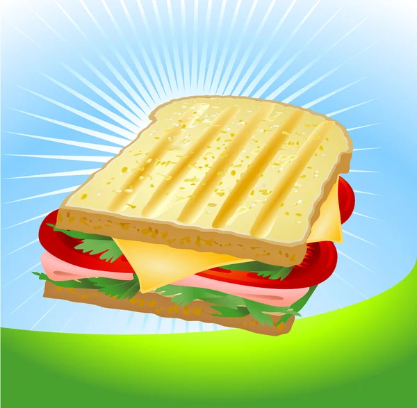 Ham Cheese Sandwich — Stock Vector