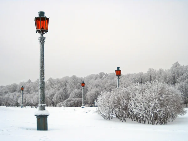 stock image Winter landscape