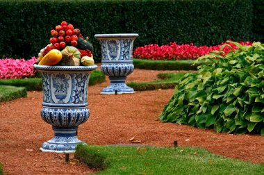 sebze ile dekoratif vazo ile park fotoğrafları.