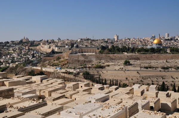 Єрусалим оливки кладовище — стокове фото