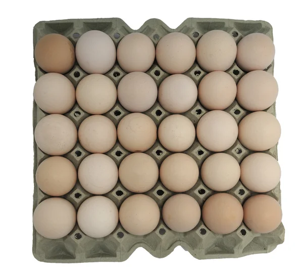 stock image Tray with thirty large chicken eggs with two yolks