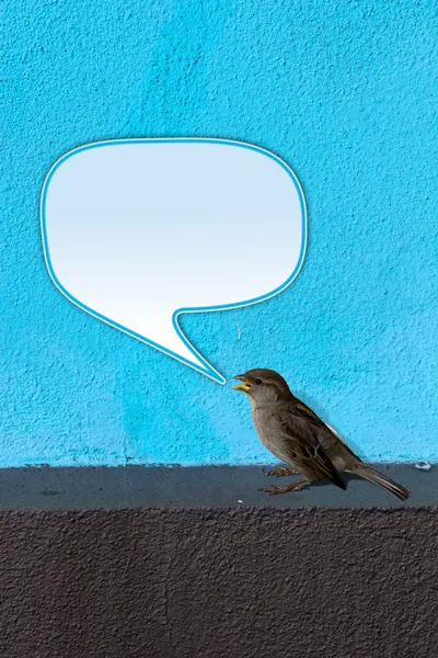 Twittering pássaro — Fotografia de Stock