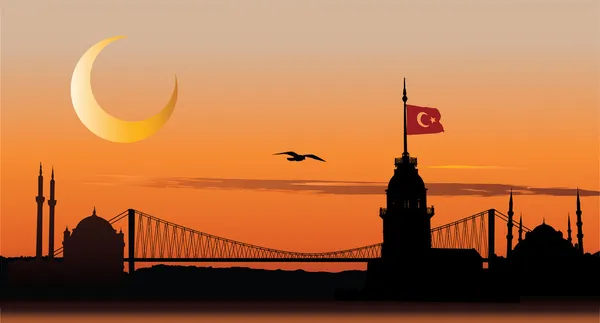 Silhouette of Istanbul at sunset — Stock Vector