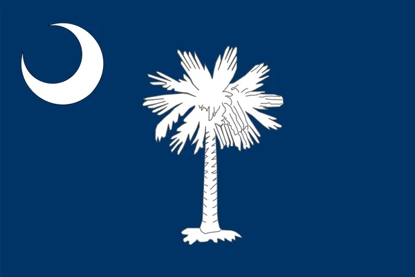 South Carolina State Flagge — Stockfoto
