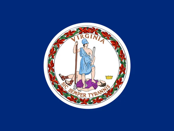 Bandiera dello Stato della Virginia — Foto Stock