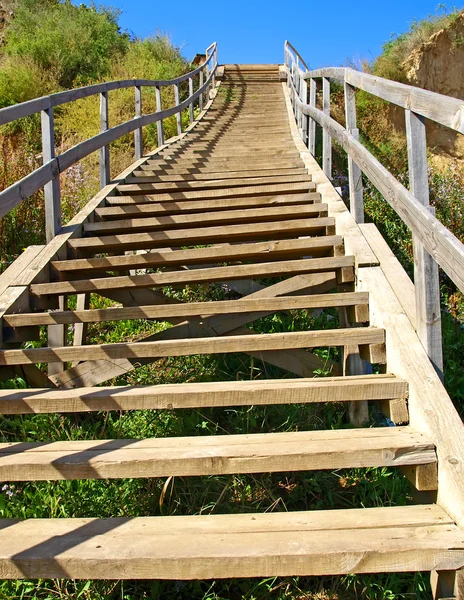 Una larga escalera de madera Imágenes de stock libres de derechos
