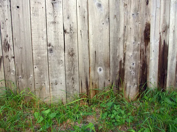 Trávy a dřevěný plot — Stock fotografie