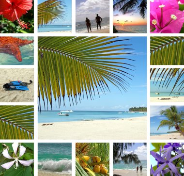 Tropical collage. Exotic travel. clipart