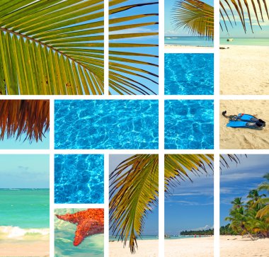 Tropical collage. clipart