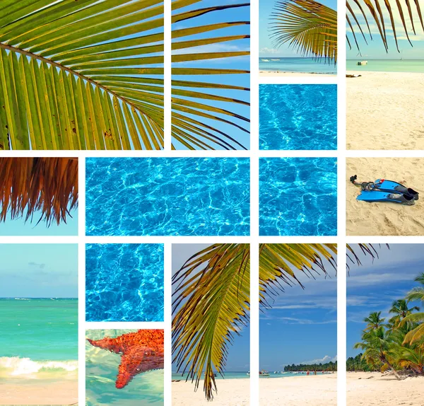 Collage tropical . —  Fotos de Stock