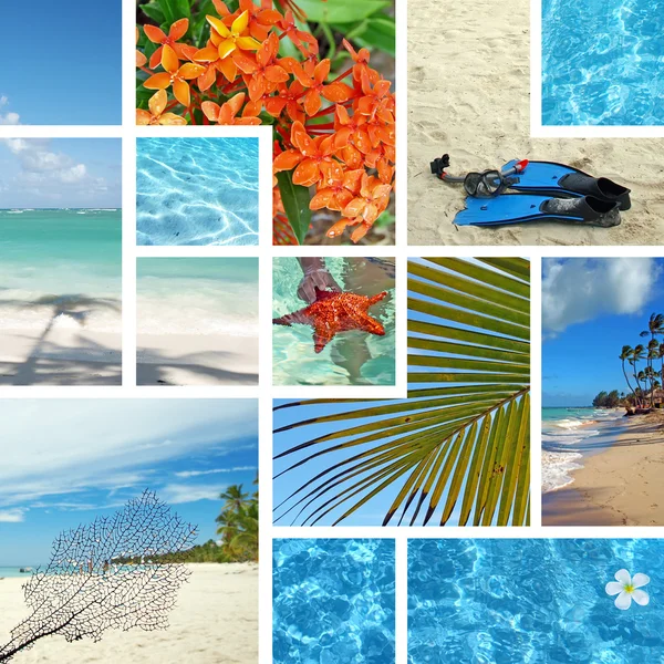 Tropiska collage. exotiska resor. — Stockfoto