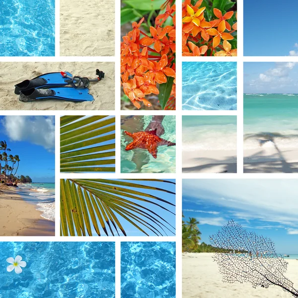 Tropiska collage. exotiska resor. — Stockfoto
