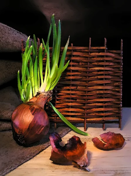 stock image Still life with green onions