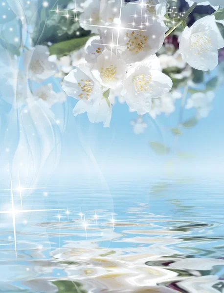 神奇的背景 盛开的茉莉花和闪亮明星 免版税图库照片